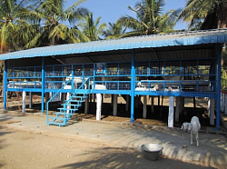 ALL FAMILY FARM 1